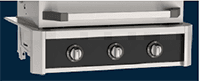 Accent Control Panel for Double Side Burner