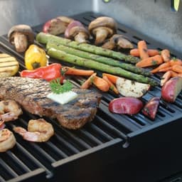 WRG Grill – Liquid Propane / Freestanding