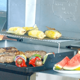 WRG Grill – Liquid Propane / Freestanding