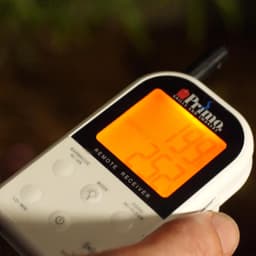 Dual Probe Thermometer