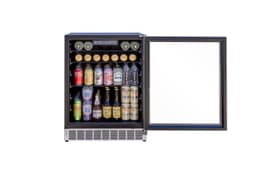 24" Outdoor Rated Refrigerator with Glass Door and Glass Shelves (5c)