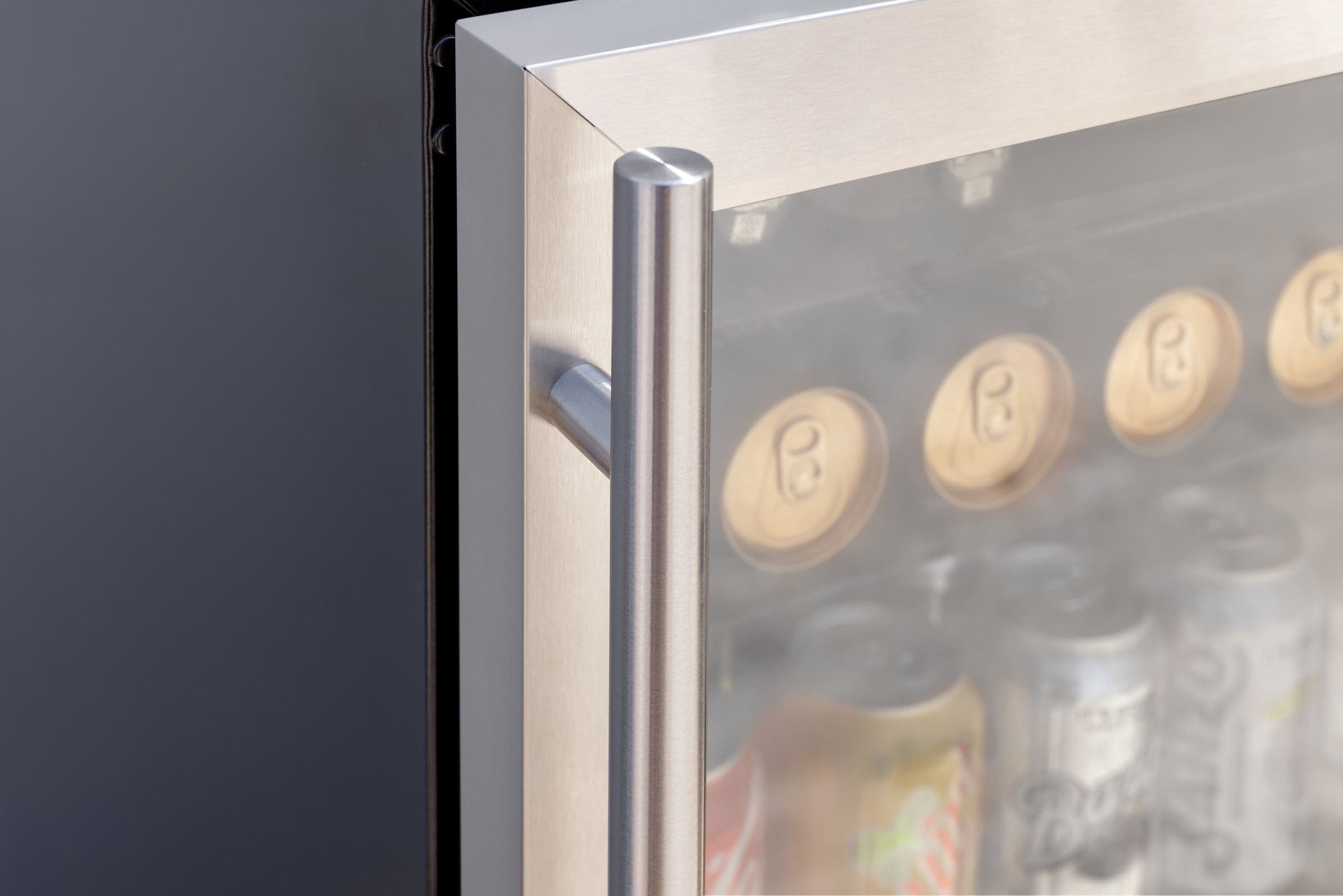24" Outdoor Rated Refrigerator with Glass Door and Glass Shelves (5c)
