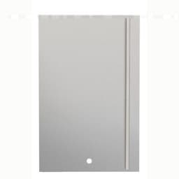 TrueFlame 22" Outdoor Rated Refrigerator