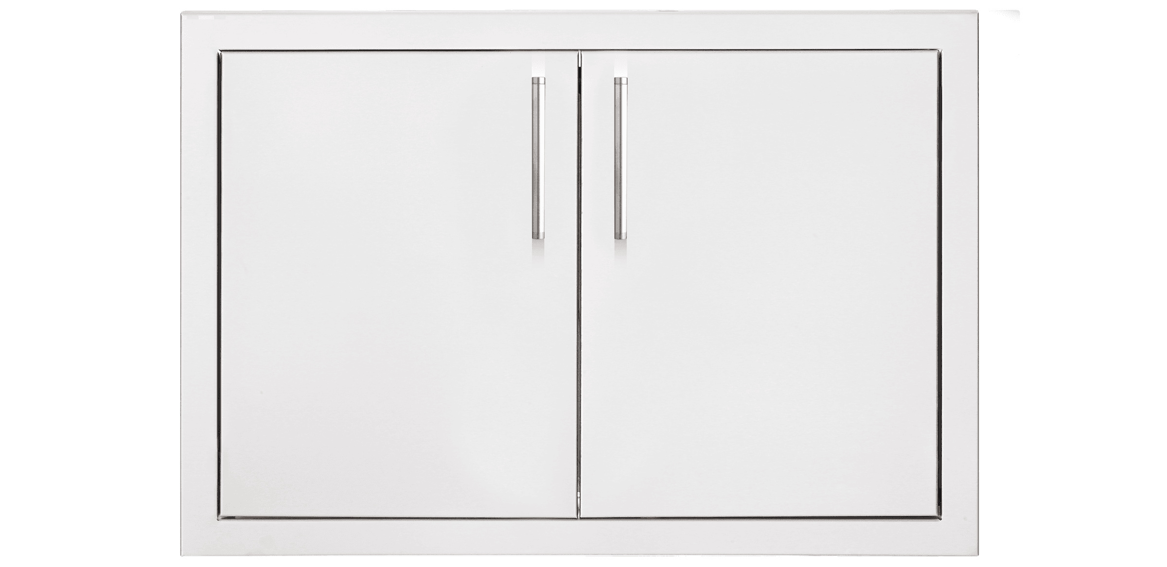 TrueFlame Double Access Door with Hidden Hinge