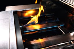 TrueFlame Built-In Gas Grill